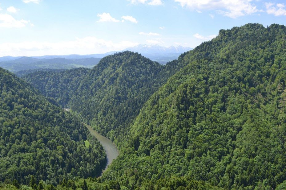 Pieniny National Park, Szczawnica, Lesser Poland, Poland